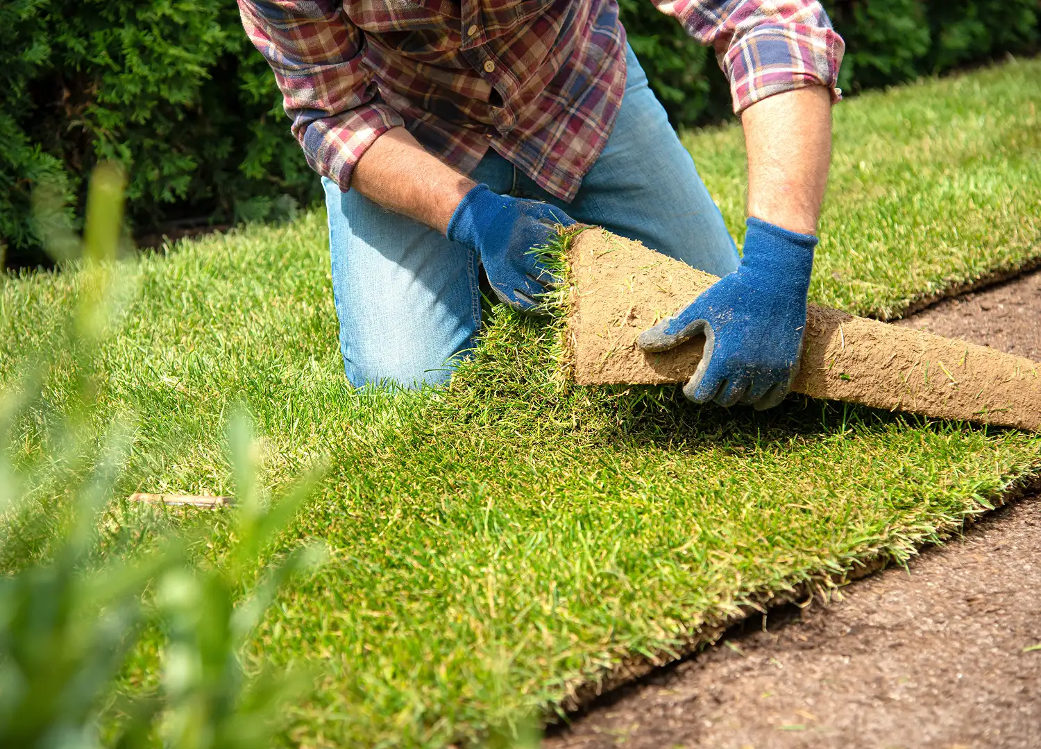 Home Decor and Garden
